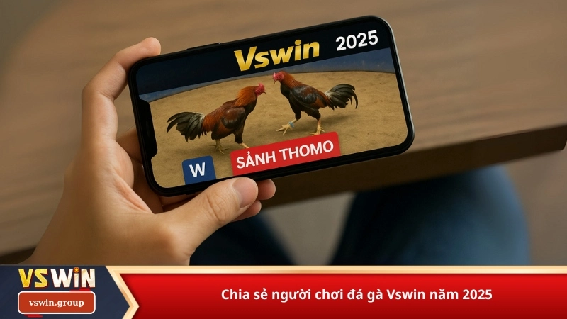 Chia sẻ người chơi đá gà Vswin năm 2025