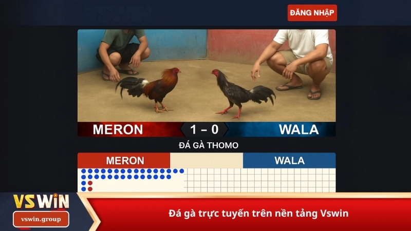 Đá gà trực tuyến trên nền tảng Vswin